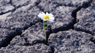 6 Şubat Depremi: Toplumsal hafıza ve bugün