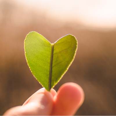 14 Şubat: Sevgiyi hatırlamak değil, tanımak günü