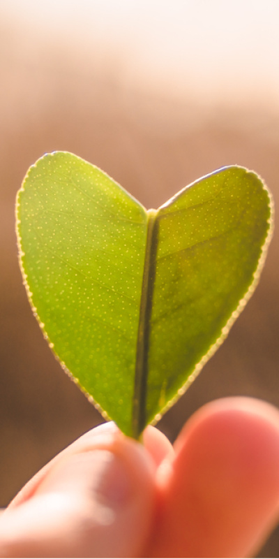 14 Şubat: Sevgiyi hatırlamak değil, tanımak günü