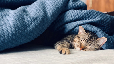 Mükemmel uyku takıntısı sizi daha da yoruyor olabilir