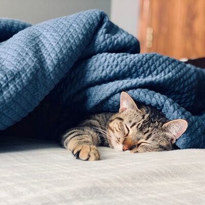 Mükemmel uyku takıntısı sizi daha da yoruyor olabilir