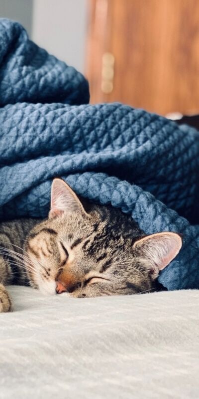 Mükemmel uyku takıntısı sizi daha da yoruyor olabilir