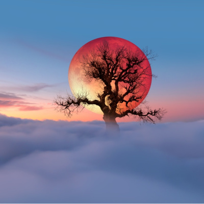 3 Mart Başak burcunda Ay Tutulması