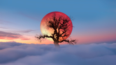  3 Mart Başak burcunda Ay Tutulması