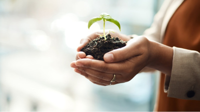 Adım adım tohum ekme rehberi