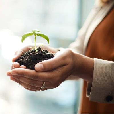 Adım adım tohum ekme rehberi