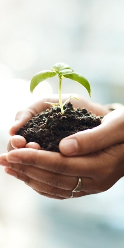 Adım adım tohum ekme rehberi