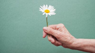  TÜİK: Yaşlı nüfus %20,5 arttı