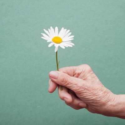 TÜİK: Yaşlı nüfus %20,5 arttı