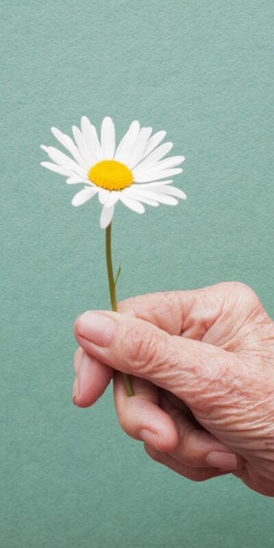 TÜİK: Yaşlı nüfus %20,5 arttı