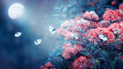 Günlük burç yorumları: 15 Mart Pazar