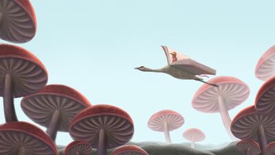  Kuşların öğrettiği şey