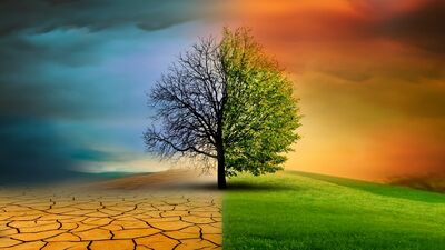  ‘Küresel ısınma’ ile ‘iklim değişikliği’ aynı şey mi?