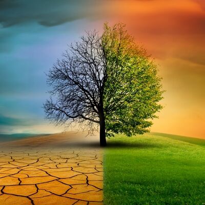 ‘Küresel ısınma’ ile ‘iklim değişikliği’ aynı şey mi?