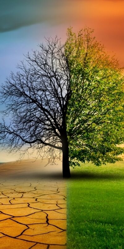 ‘Küresel ısınma’ ile ‘iklim değişikliği’ aynı şey mi?