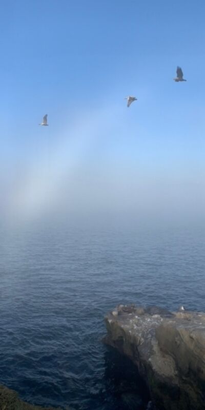 Daha önce hiç beyaz gökkuşağı görmüş müydünüz?