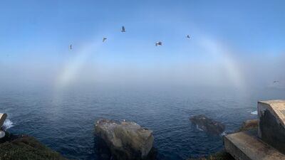 Daha önce hiç beyaz gökkuşağı görmüş müydünüz?