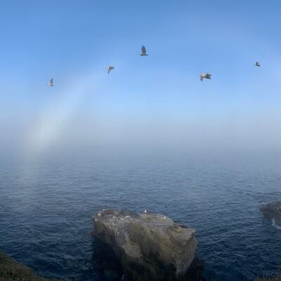 Daha önce hiç beyaz gökkuşağı görmüş müydünüz?