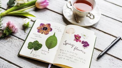 Zihni sakinleştirmenin yolu: 5 dakikalık mikro alışkanlıklar