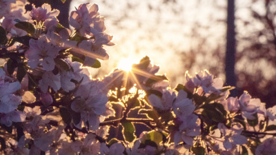  Bahar kapıyı çaldığında: Ruhunun envanterini çıkartmak