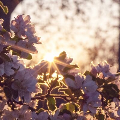 Bahar kapıyı çaldığında: Ruhunun envanterini çıkartmak