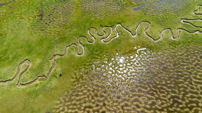 Doğanın saklı cenneti: Karagöl Yaylası