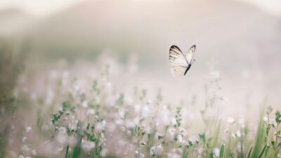 Sosyal medya size geride kaldığınızı hissettiriyorsa...