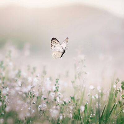 Sosyal medya size geride kaldığınızı hissettiriyorsa...