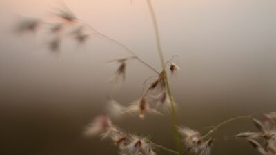 Yeni nesil mindfulness yaklaşımı: Mikro mindfulness