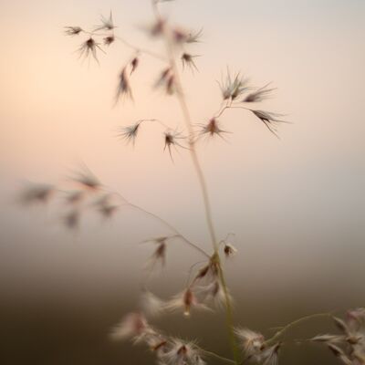 Yeni nesil mindfulness yaklaşımı: Mikro mindfulness