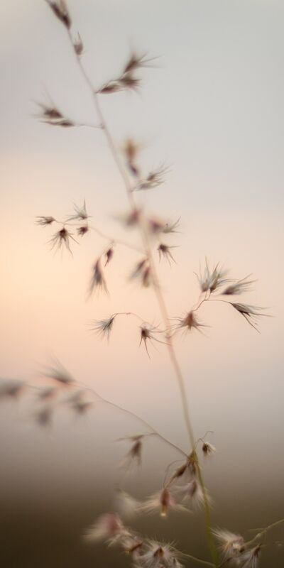Yeni nesil mindfulness yaklaşımı: Mikro mindfulness
