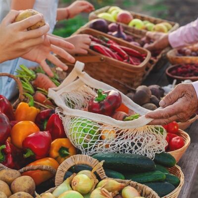 Gıdayı gerçekten kim üretiyor?Toprak mı yoksa sistem mi?