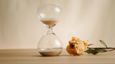  Hücreden harekete sağlıklı yaş alma rehberi birinci bölüm