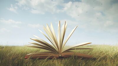 Shaun Tan'dan arayışa dair bir hikâye