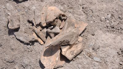 6 bin yıllık kesintisiz yerleşim alanı: Çadır Höyük
