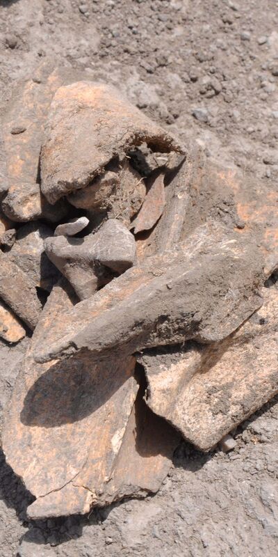 6 bin yıllık kesintisiz yerleşim alanı: Çadır Höyük