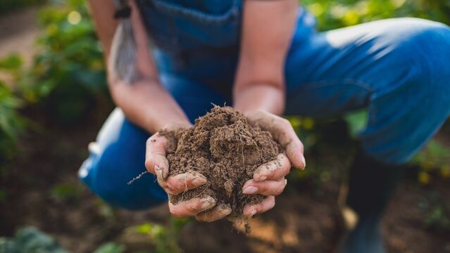 Dünyanın dört bir yanında toprağı koruyan 10 kadın çiftçi