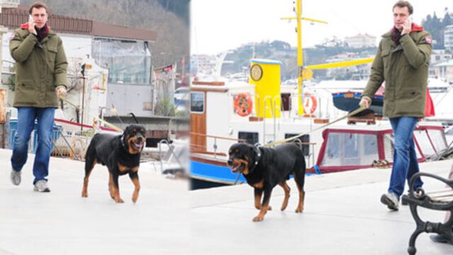 Dikkat! Köpek var!