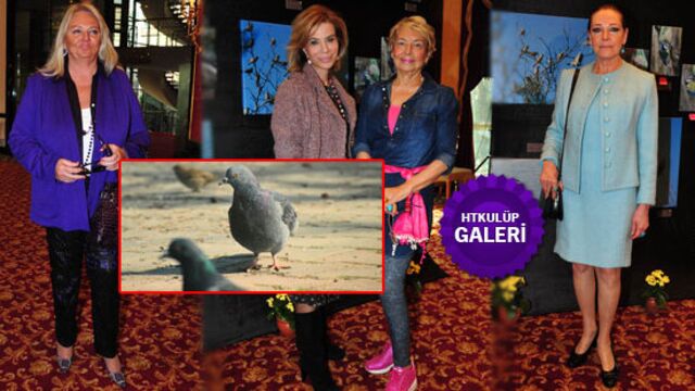 Altıncı sergisini açtı