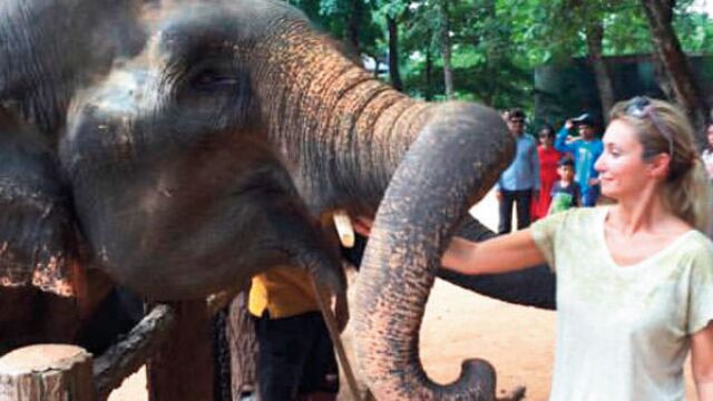 Sri Lanka macerası