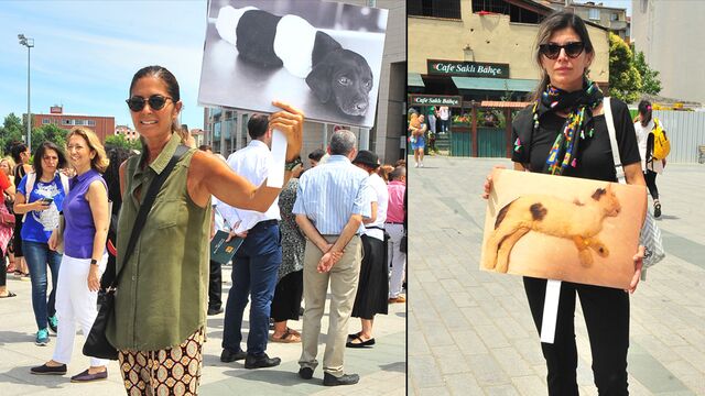 Hayvan katliamını protesto ettiler