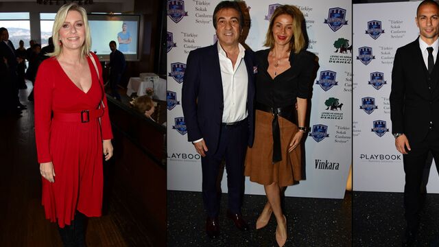 Sokak hayvanları için el ele...