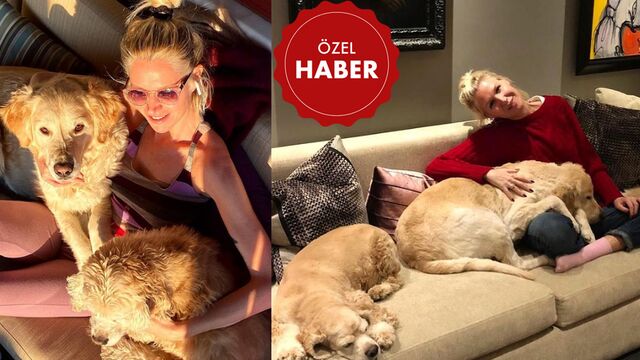 'Yaşadığım müddetçe sokak hayvanları için savaşacağım'
