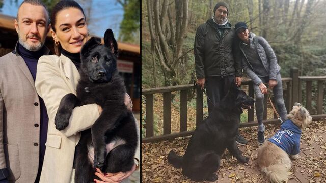 Doğada kısa bir mola...