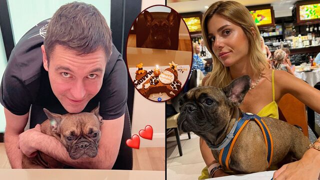 Sabancılar'dan köpeklerine kutlama!