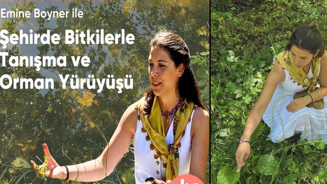 Boyner, ormanda yürüyüp bitkileri tanıtacak
