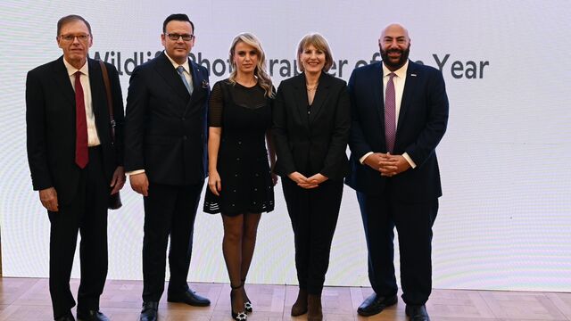 “Yılın Yaban Hayatı Fotoğrafçısı” Sergisi