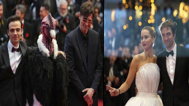 Cannes'da kuş sürprizi...