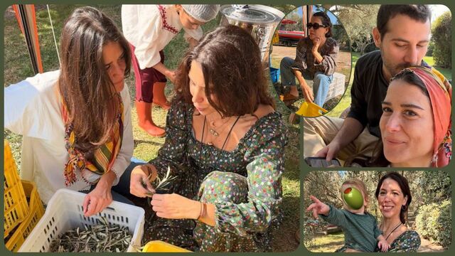 Boyner Ailesi'nden doğayla iç içe zeytin hasadı