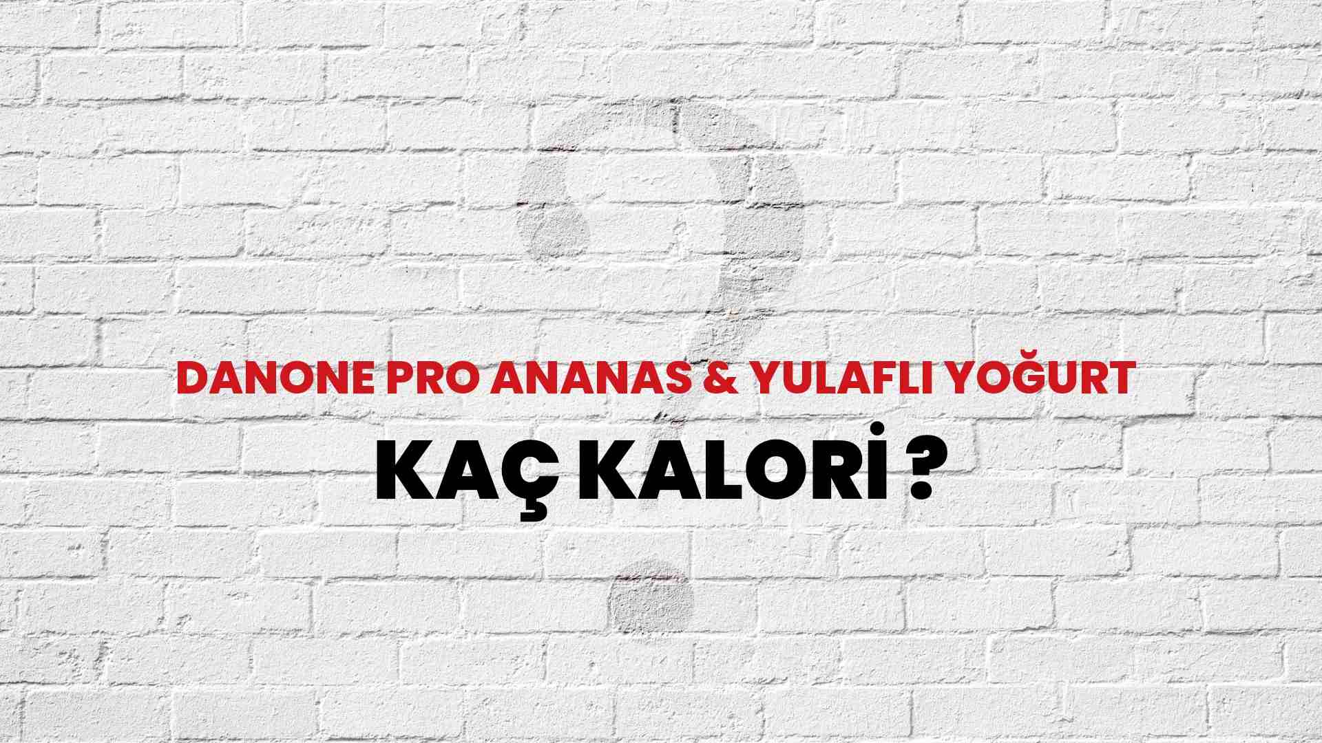 Danone Pro Ananas & Yulaflı Yoğurt Kaç Kalori? Danone Pro Ananas & Yulaflı Yoğurt Kalori Miktarı ve Besin Değeri